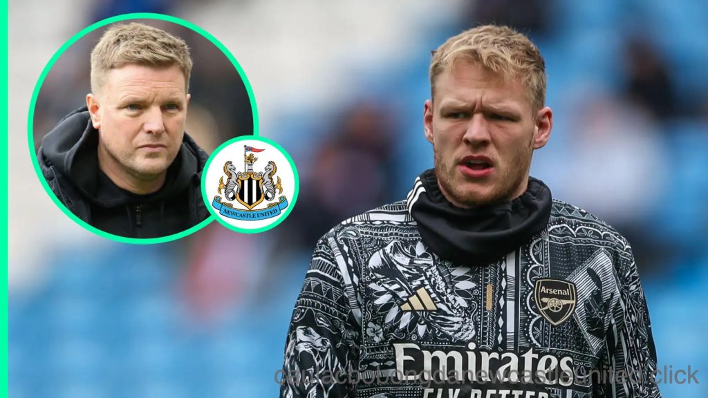 Arsenal tiết lộ giá bán Aaron Ramsdale, Newcastle United toát mồ hôi hột