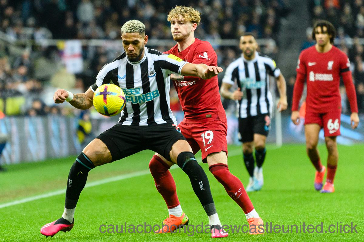 Newcastle United vs Liverpool: Nhận định trận đấu